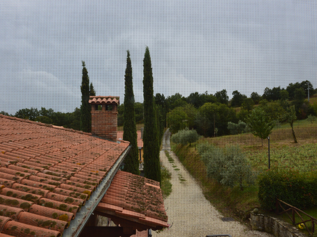 Agriturismo La Casina主图