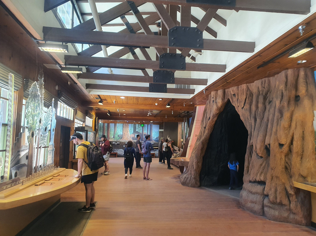 Giant Forest Museum-红杉&国王峡谷国家公园必去景点