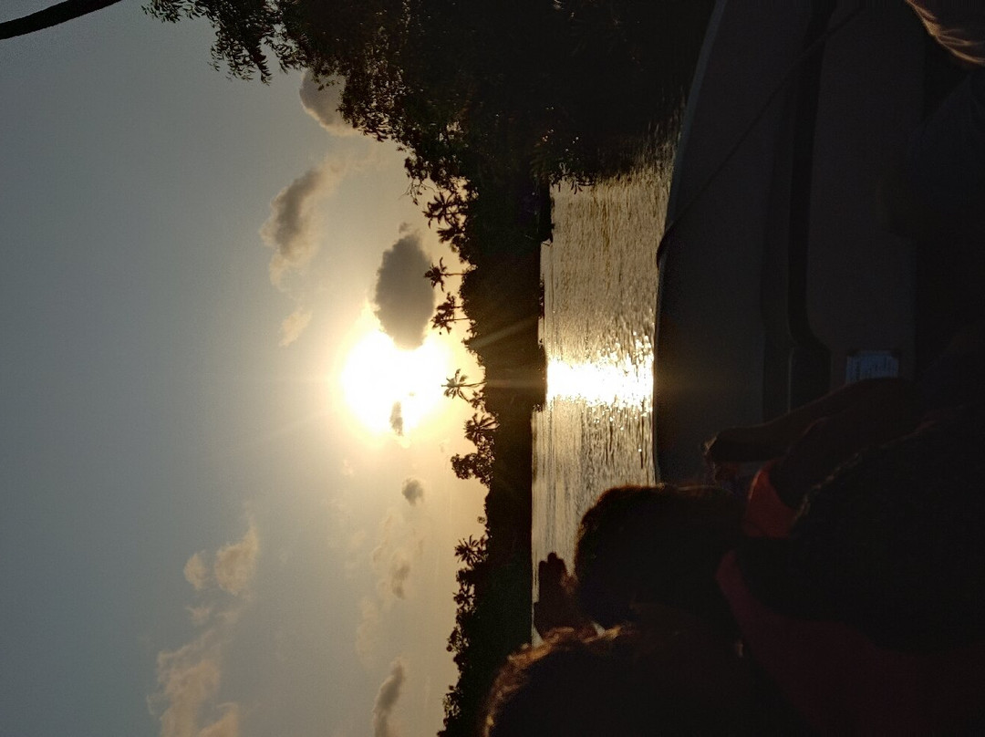 Munroe Island Backwaters Canoe Tours景点图片