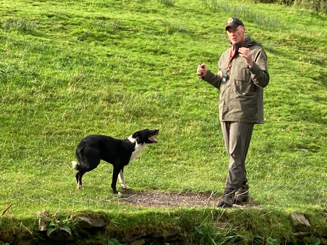 Kells Sheep Centre-Kells必去景点
