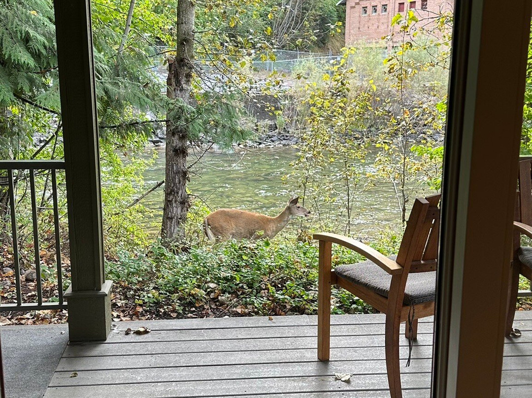 Bridge Street Cottages主图