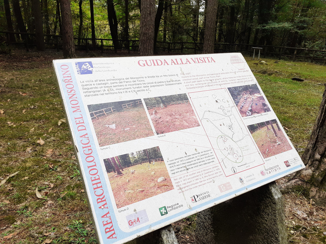 Area Archeologica Monsorino di Golasecca-Golasecca必去景点