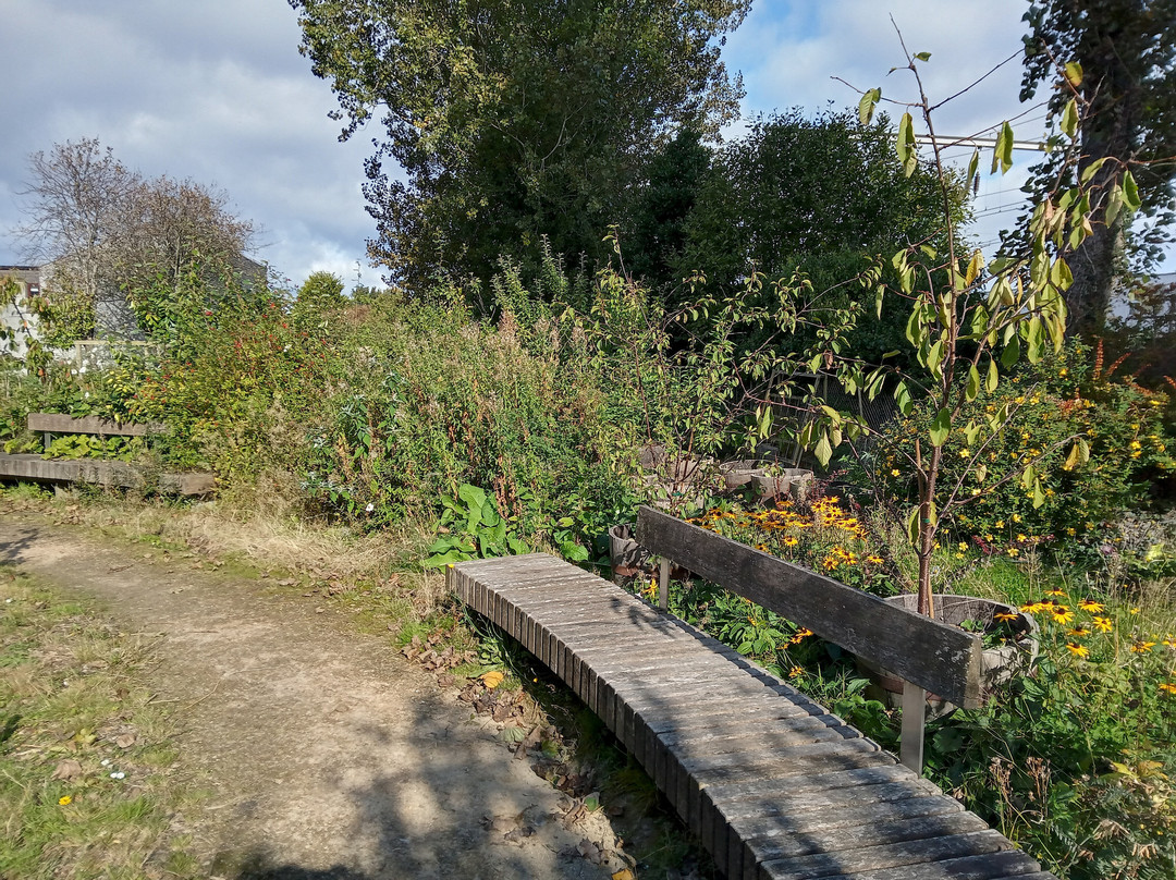 George Wylie Memorial Garden-Gourock必去景点