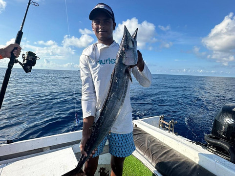 Oceano-威廉斯塔德必去景点