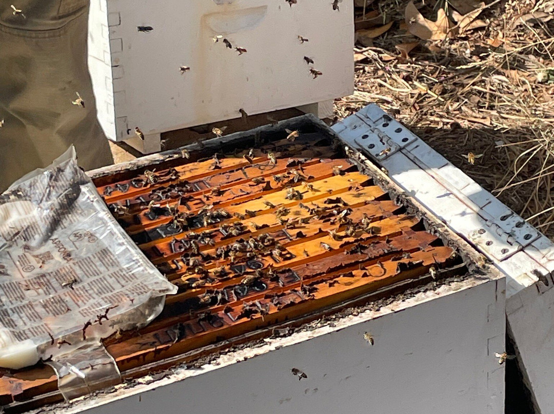 Melipap Apiary-Polemarchi必去景点