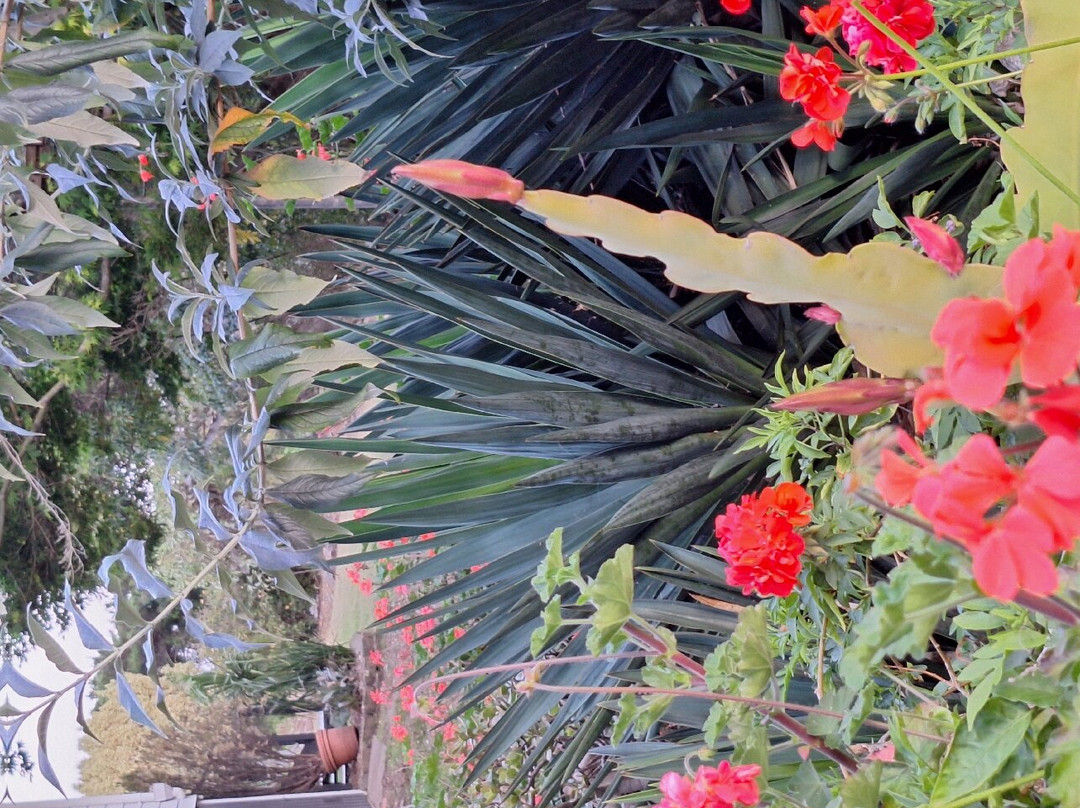 Tilba Lake House主图