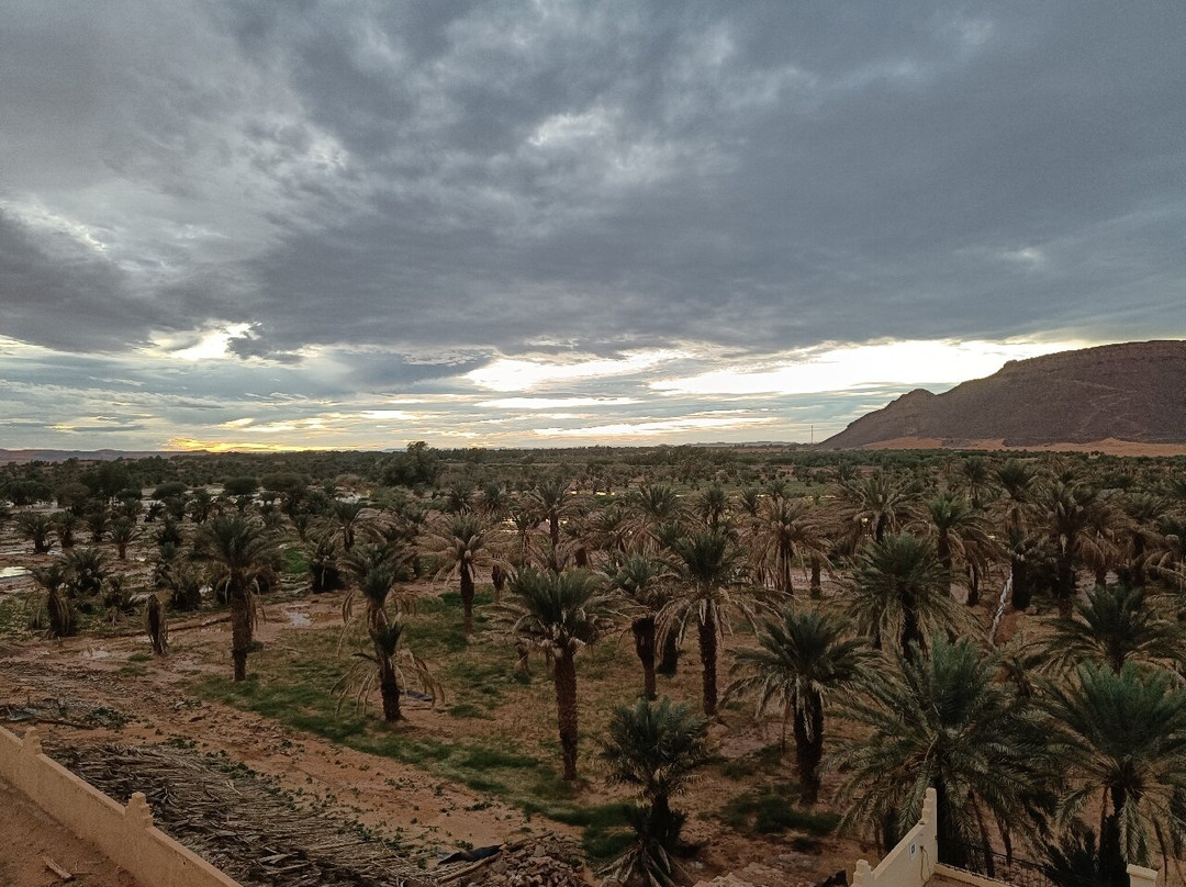 Les Jardins De Tafraout主图