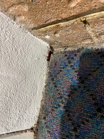 John Hunter Motel主图