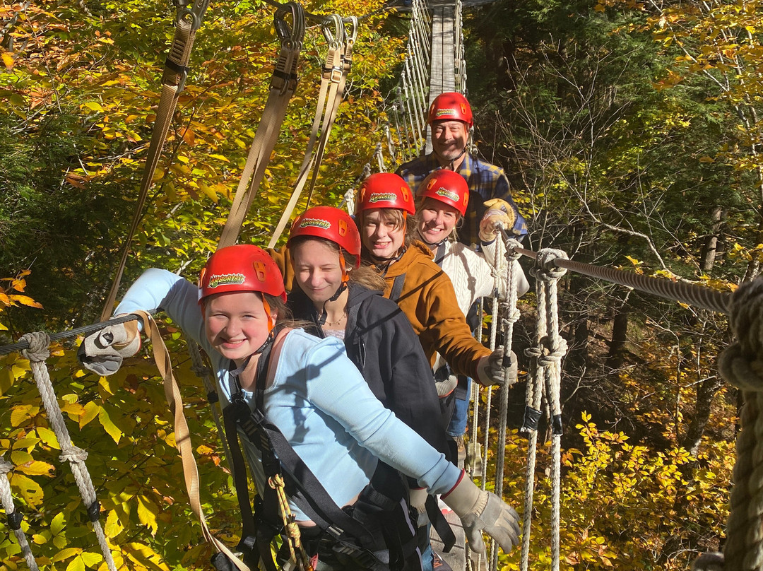 ArborTrek Canopy Adventures景点图片