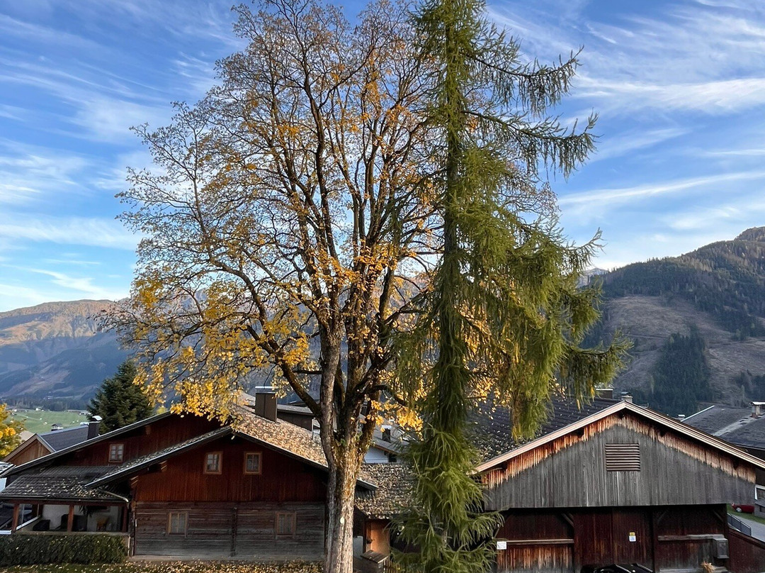 Hotel Gasthof Unterwöger主图