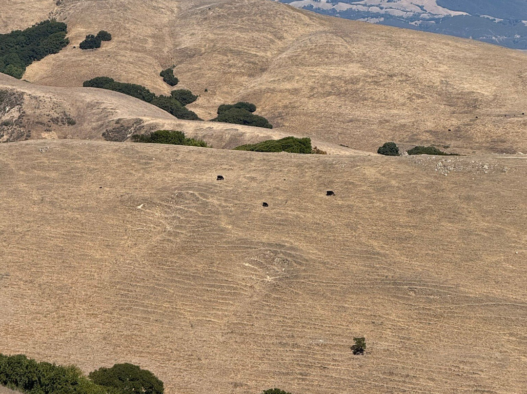 Dublin Hills Regional Park-都柏林必去景点