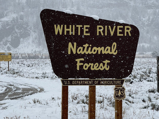 The Green Bridge Inn主图