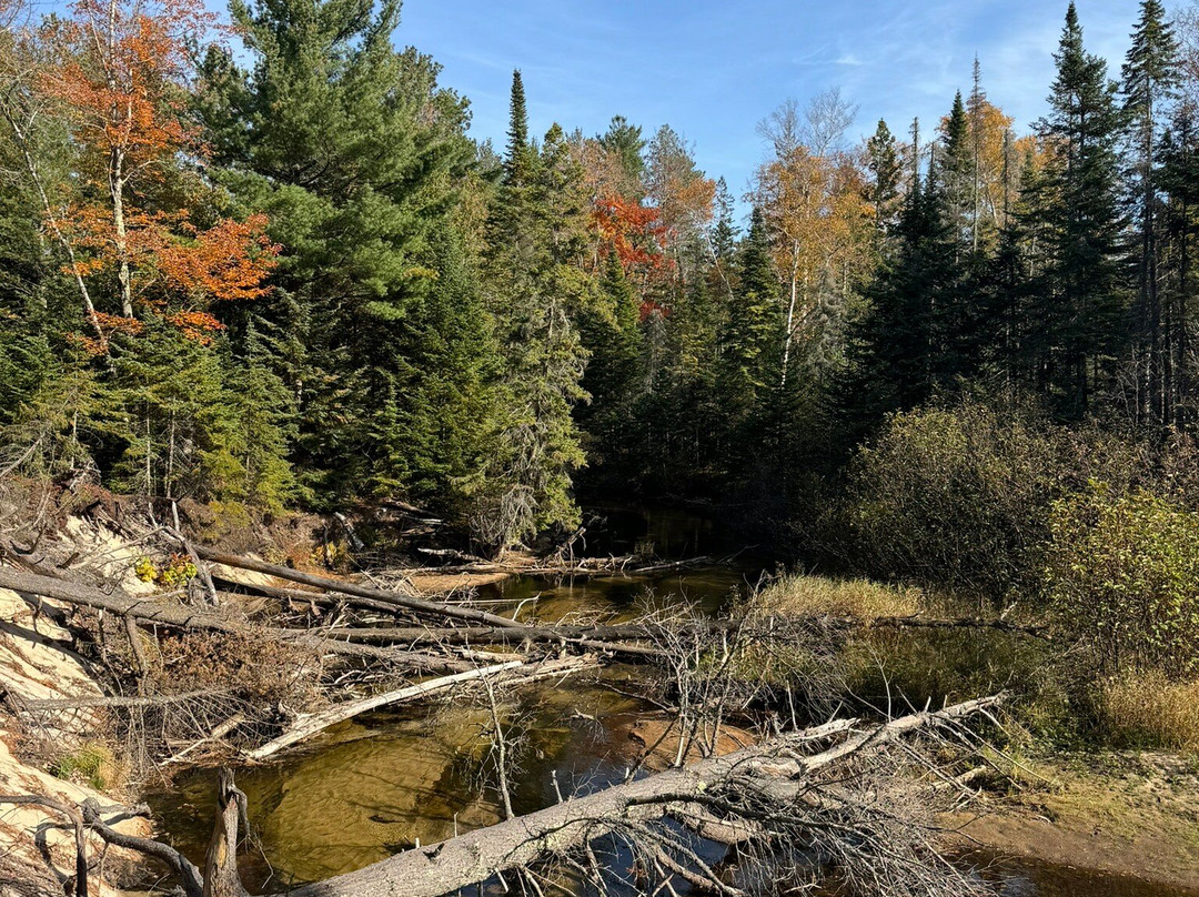 Miner's Beach-Shingleton必去景点