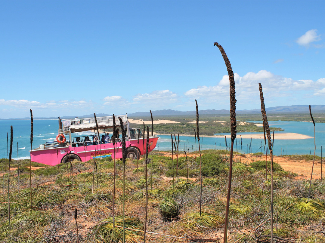 1770 LARC! Tours-1770镇必去景点