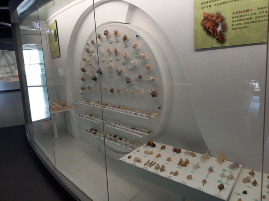 大连贝壳博物馆-大连市必去景点