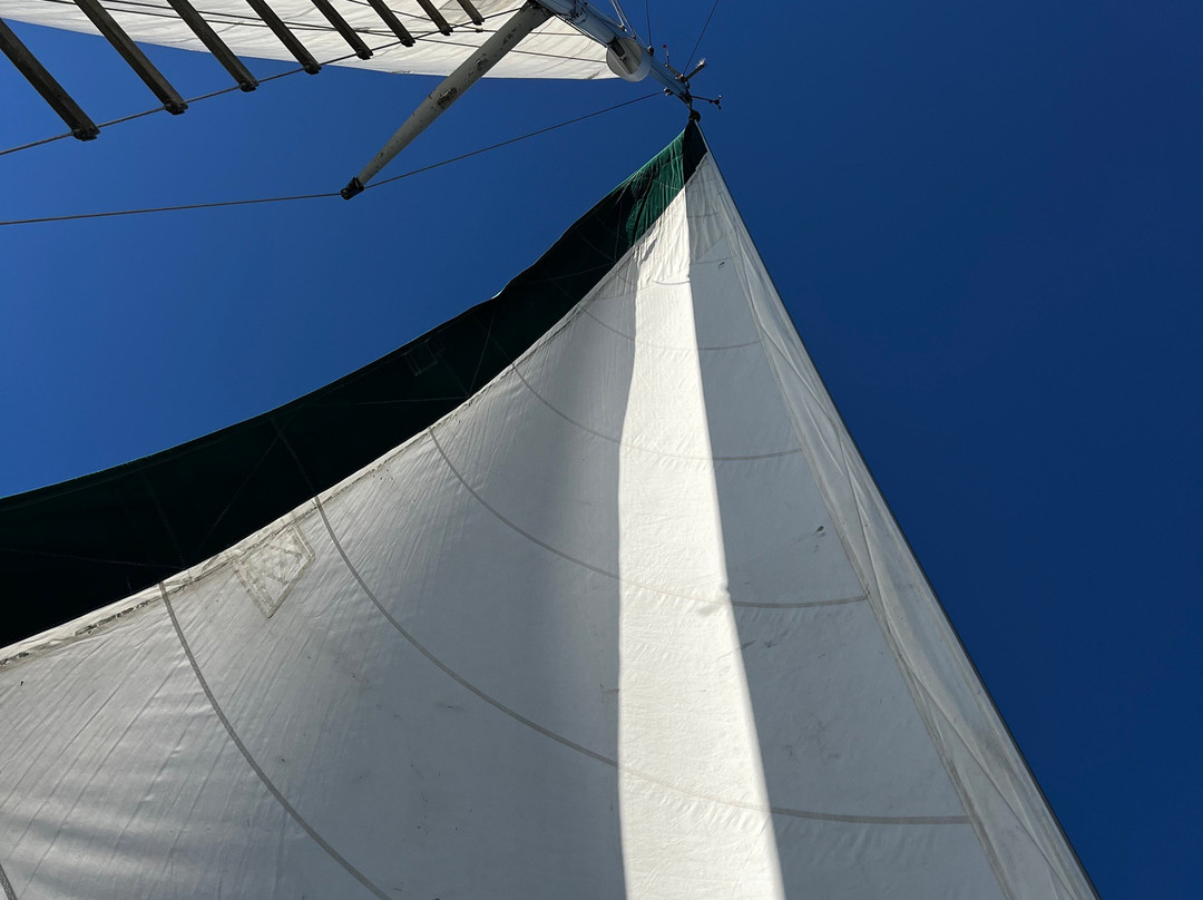 Tivoli Sailing Company-Kingston必去景点