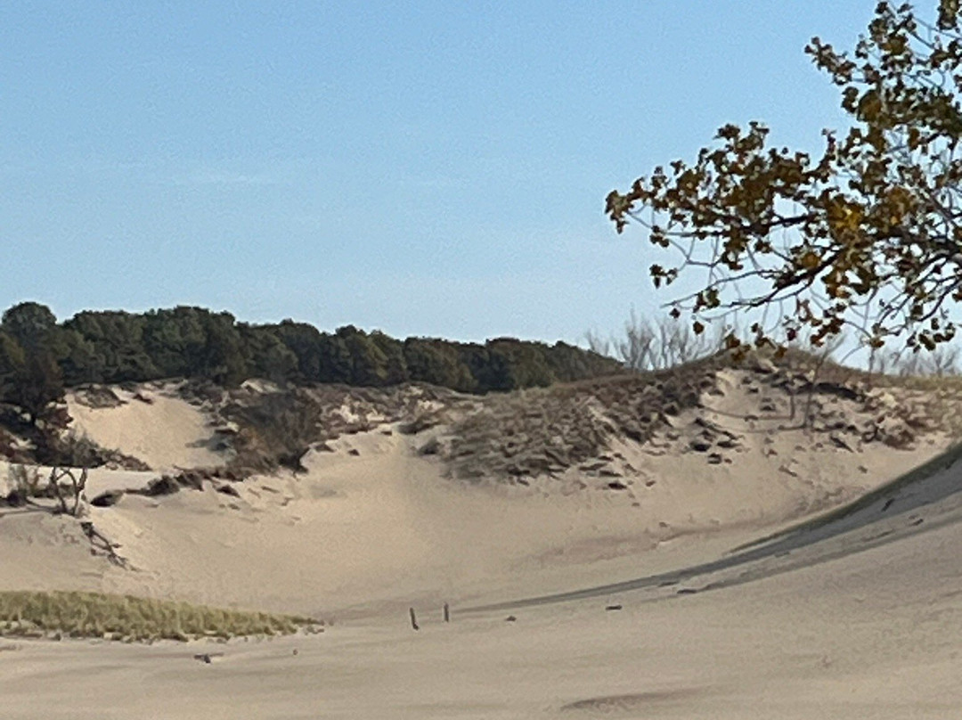 Warren Dunes State Park-Bridgman必去景点