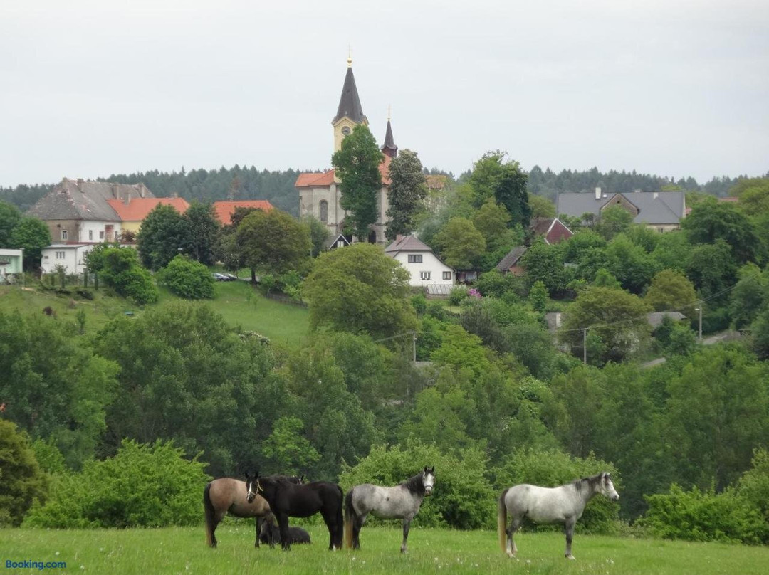 Ledec nad Sazavou旅游攻略图片