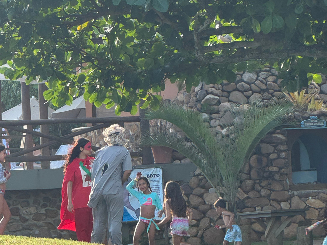 Jardim Atlântico Beach Resort主图