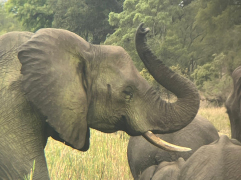 Legend Safaris-雾观必去景点