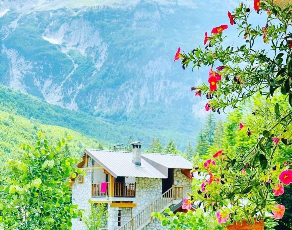 Hotel Krojet e Rrogamit