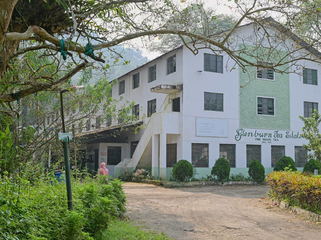 Glenburn Tea Estate主图