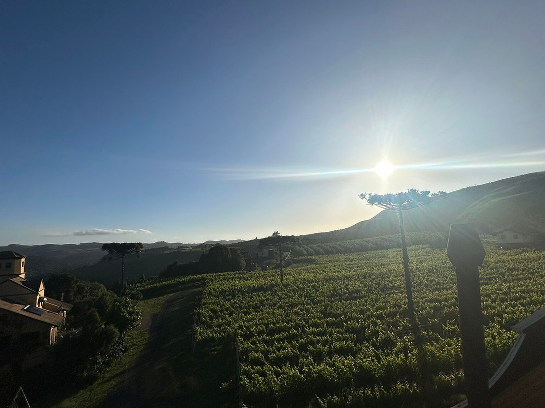 Leone di Venezia Winery-Sao Joaquim必去景点