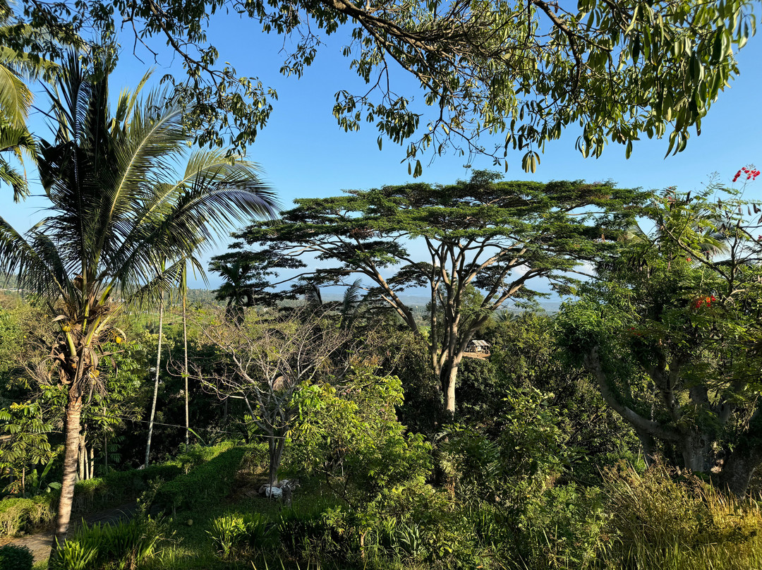 Rinjani Mountain Garden主图