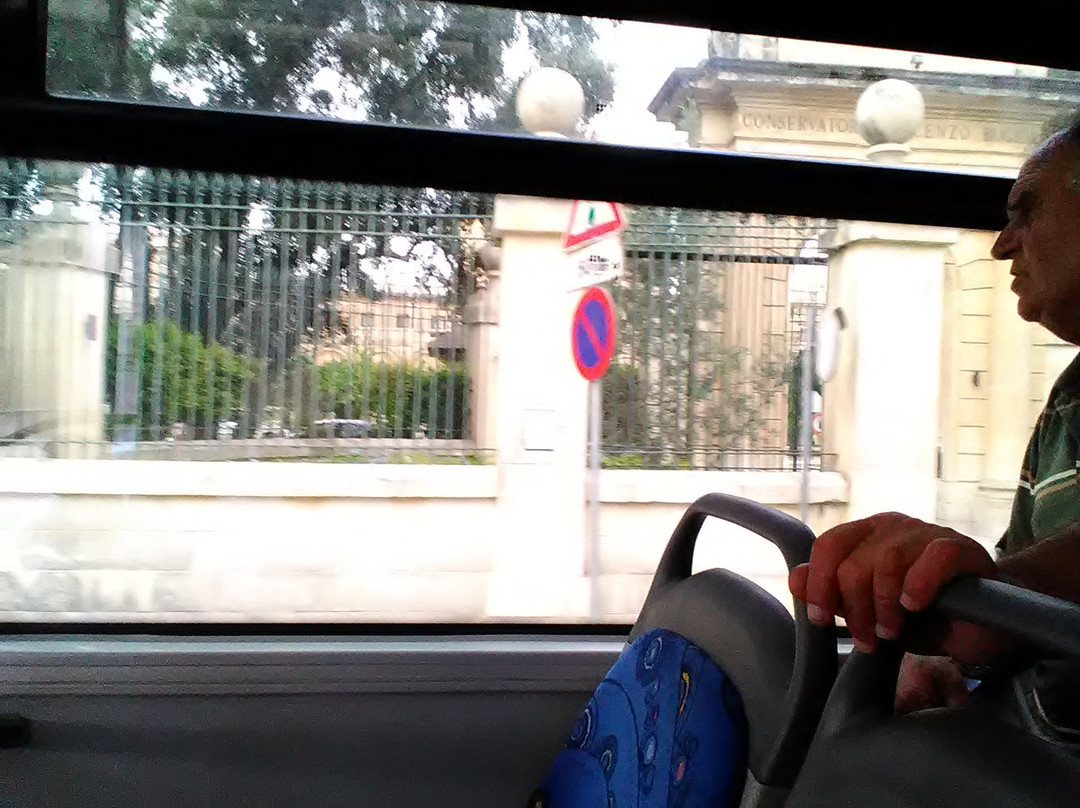 Malta Public Transport-瓦莱塔必去景点