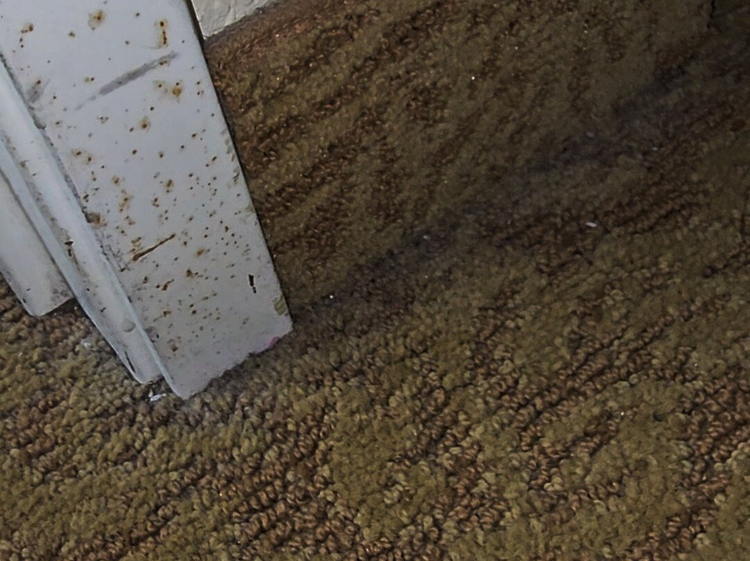 Country Inn & Suites by Radisson, Dundee, MI主图