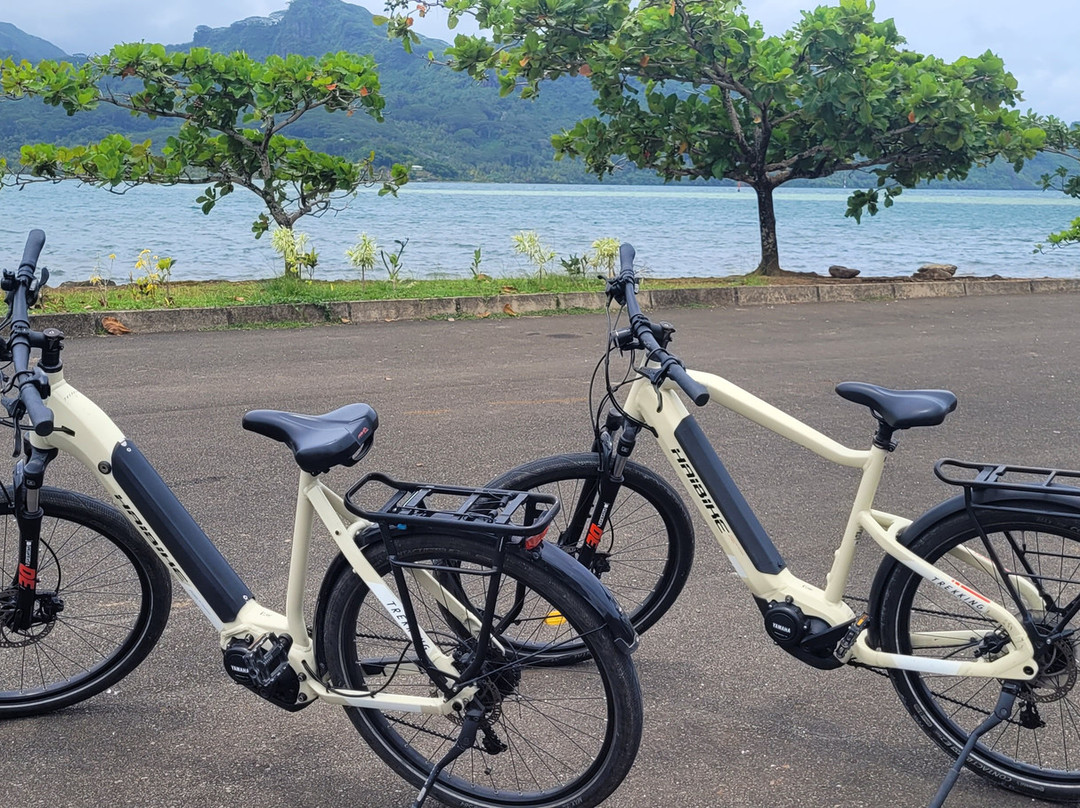 E-Bike Huahine-Fare必去景点