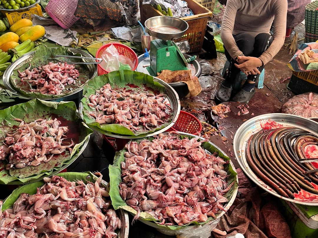 An Travel & Transportation Cambodia-马德望必去景点