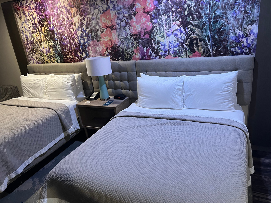 弗里斯科英迪格酒店主图