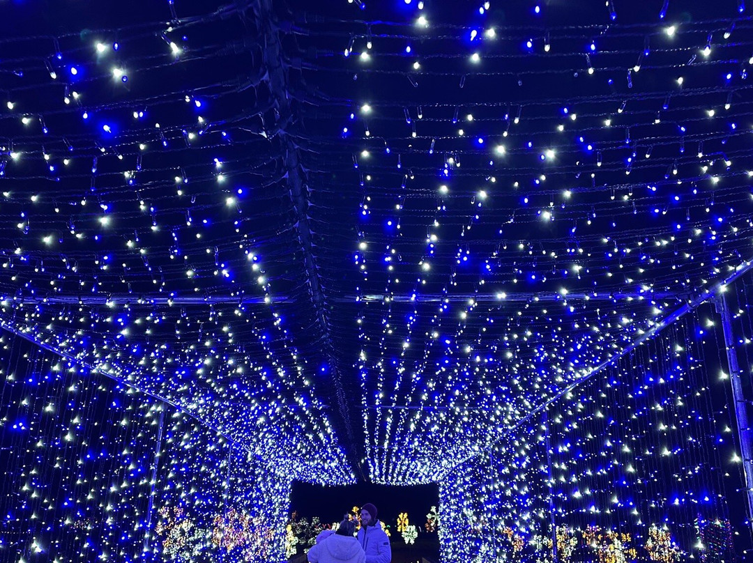 LaBelle Lights At Labelle Winery景点图片