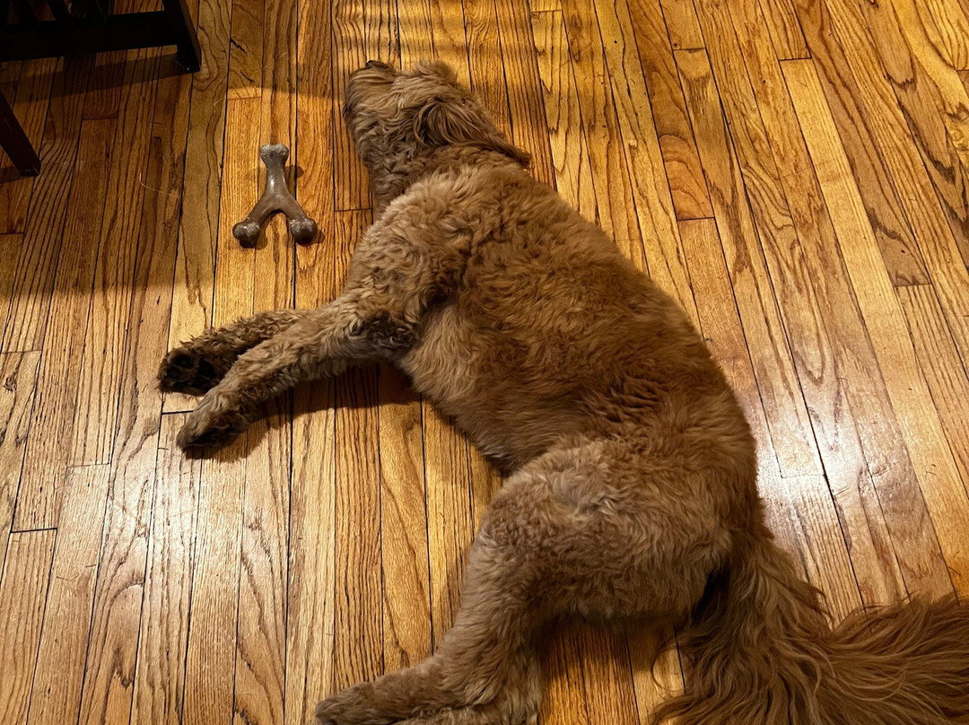 Wild Goose Inn Bed & Breakfast主图