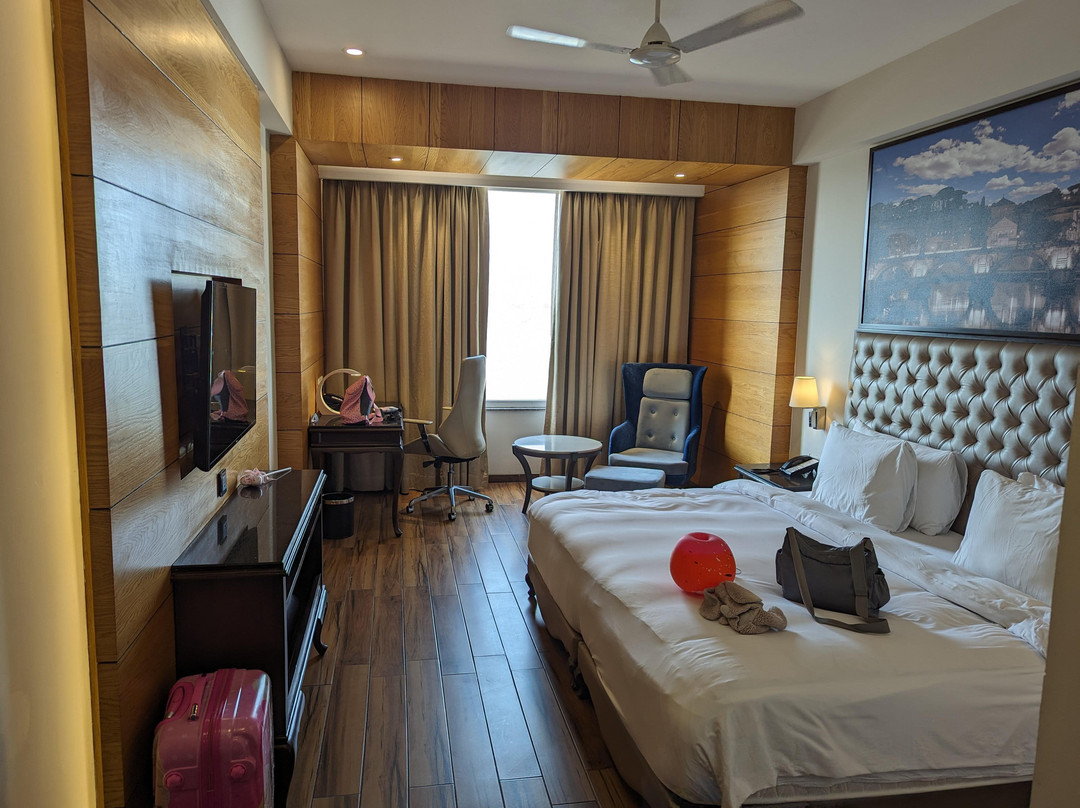 Radisson Hotel Chandigarh Zirakpur主图