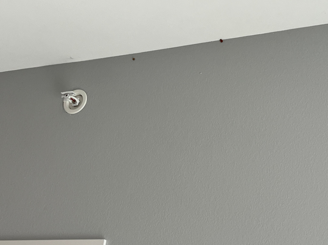 Hampton Inn By Hilton Cedar Falls Downtown主图