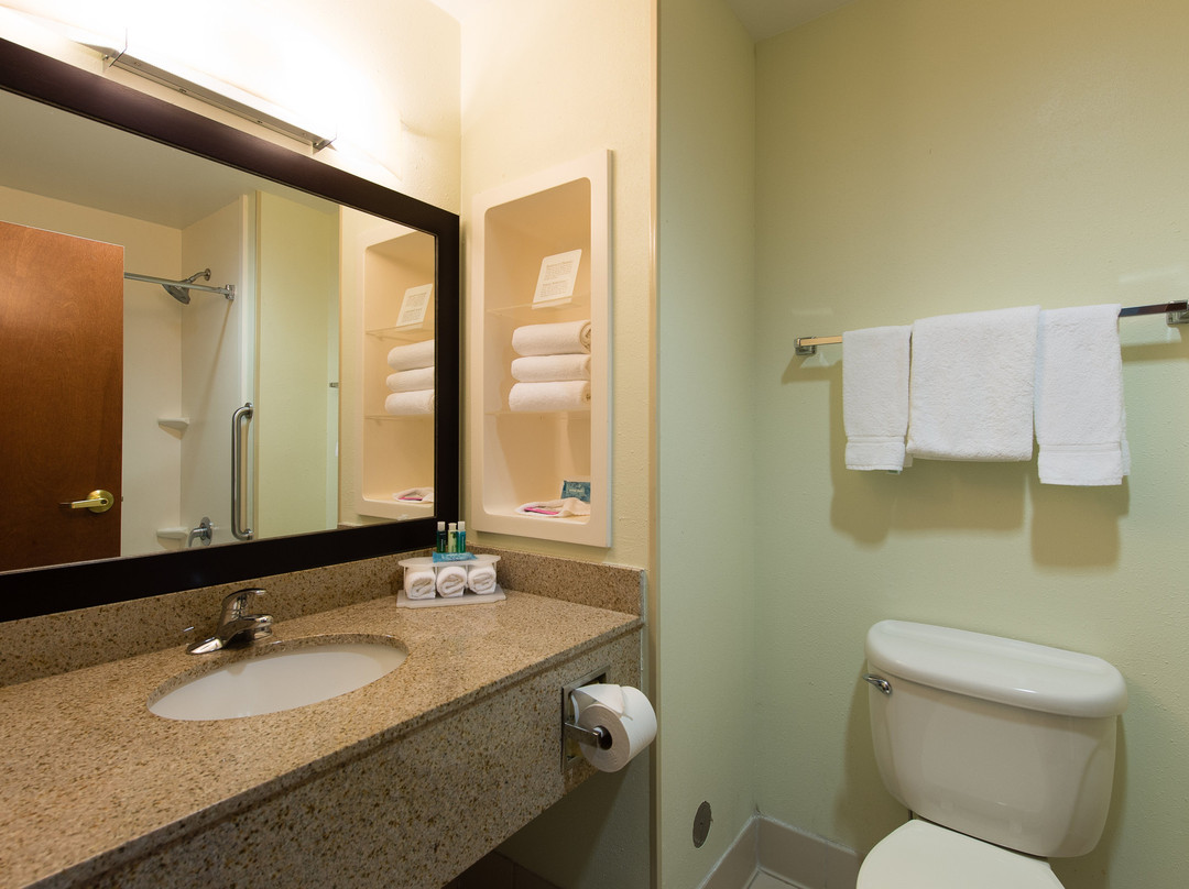 Holiday Inn Express & Suites Walterboro I-95 by IHG主图