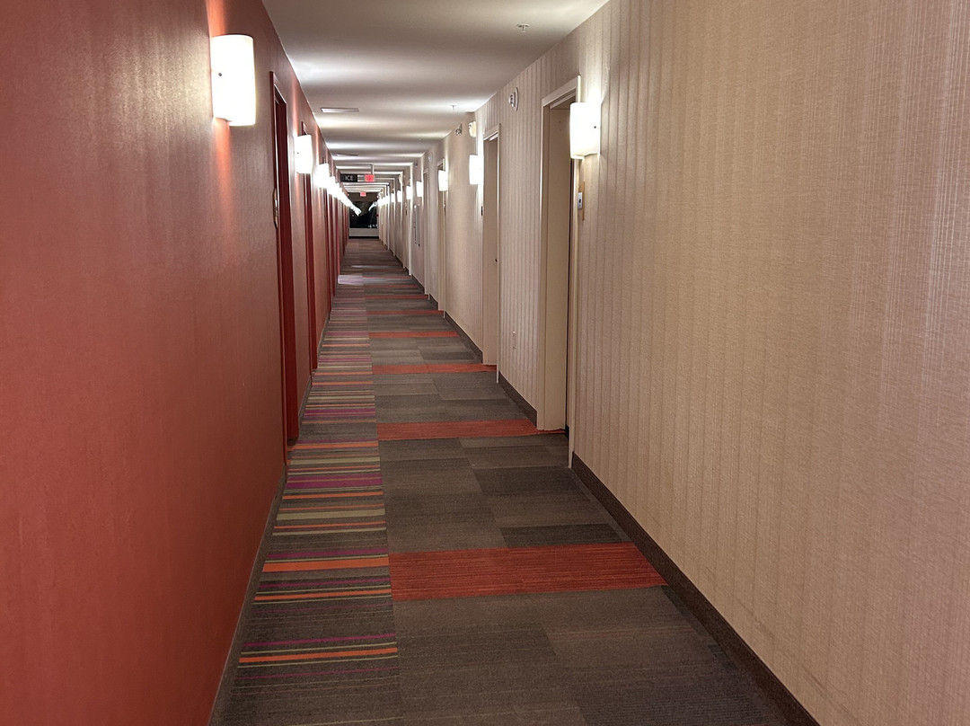 Home2 Suites By Hilton Savannah Airport主图