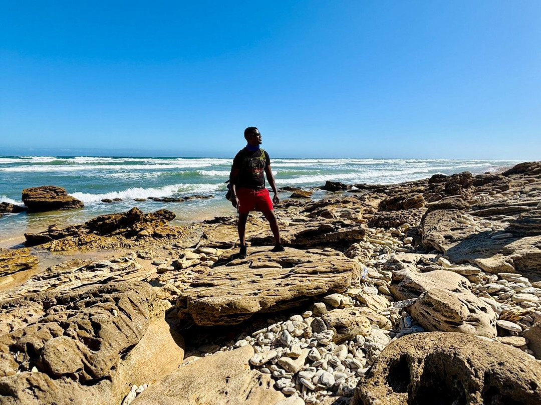 Alexandria Hiking Trails-Addo Elephant National Park必去景点