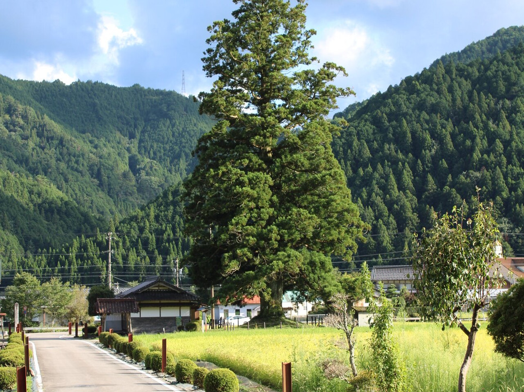 Togakushi Shrine-郡上市必去景点