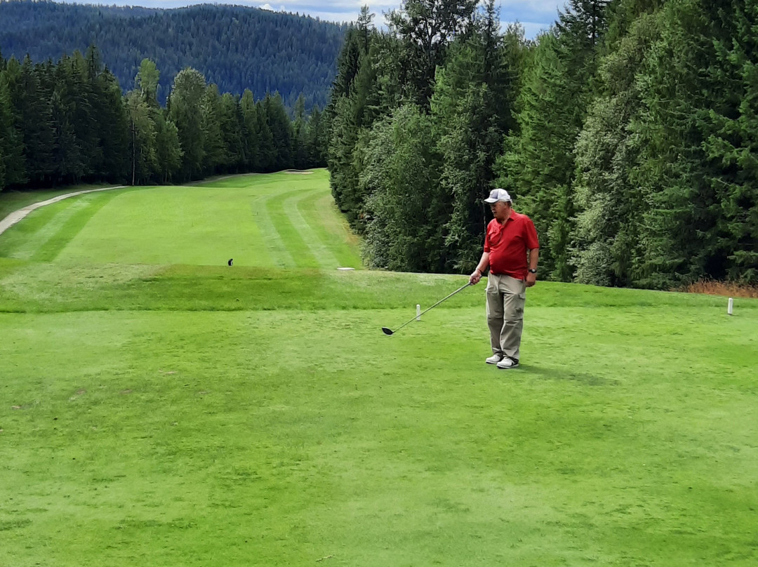 Kokanee Springs Resort主图