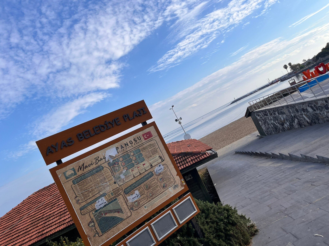 Yumurtalık Plajı景点图片