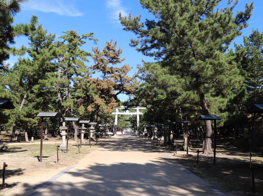 Tsuda Hachimangu景点图片