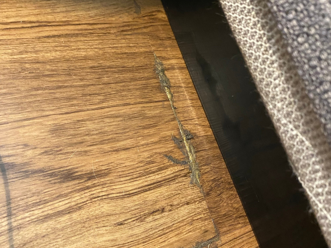 Tru by Hilton Beaufort主图