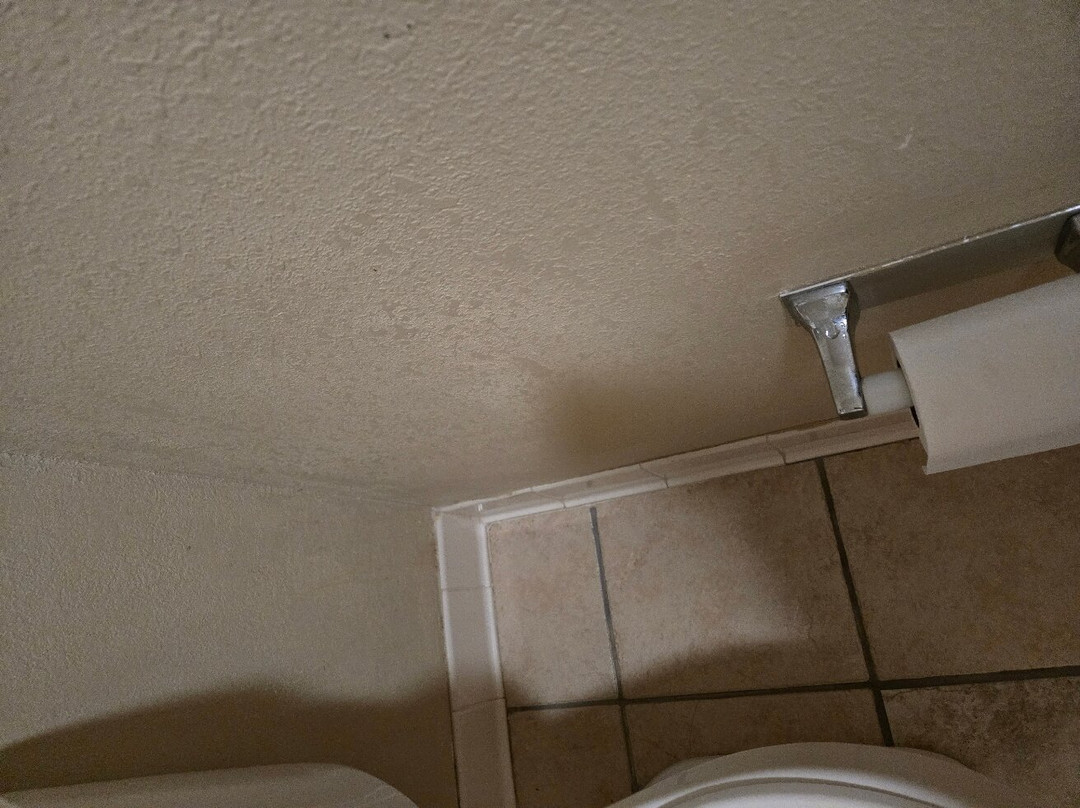 Best Western Wittenberg Inn主图