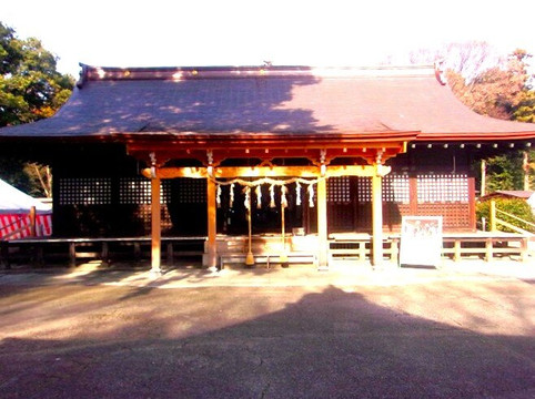 Washinomiya Shrine-久喜市必去景点