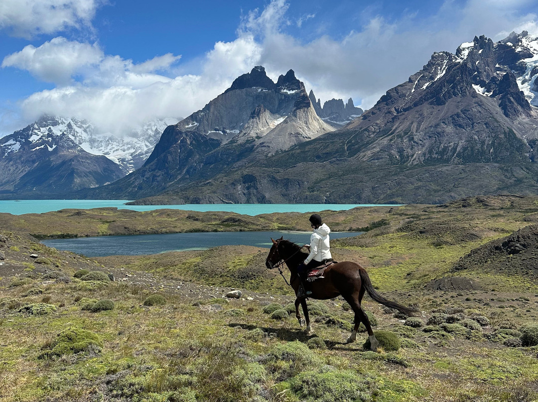 Estancia La Peninsula景点图片