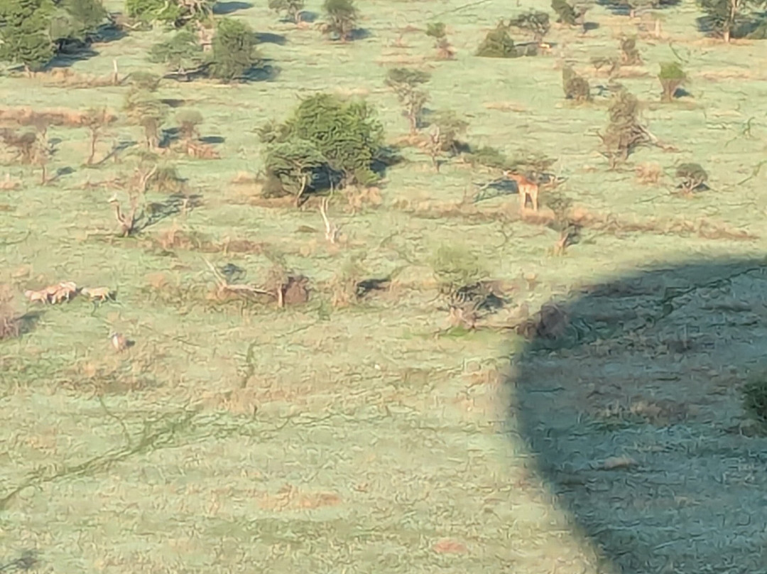 Trackless Wild.-阿鲁沙必去景点