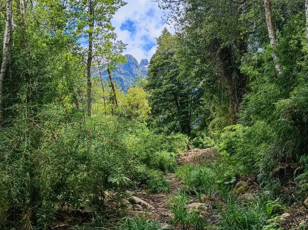 Bahia Acantilada-Puerto Aisen必去景点